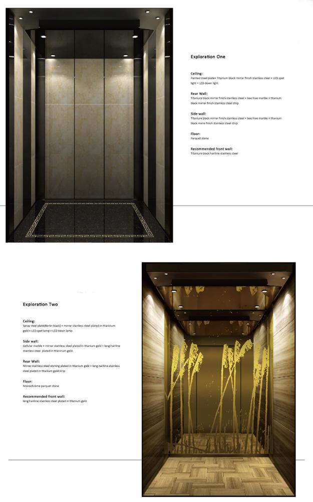 Home Elevator Lifts Supplier in China Elevator Lift Cheap Price Passenger Lift