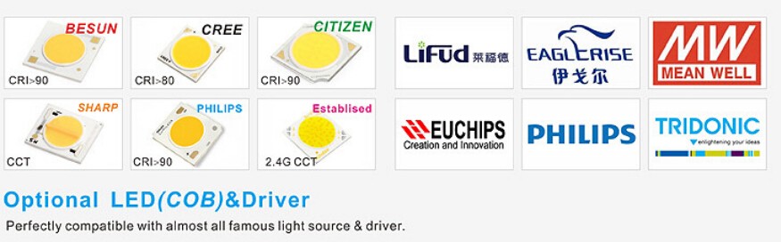 Highest Level High Intensity Ce Rohs Certified 30W Cob Led Epistar Chip