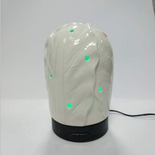 100ML Aromatherapy Diffuser Essential Oil Diffuser Aroma Diffuser