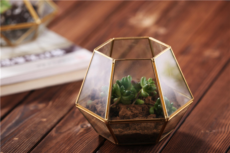 Wholesale Rectangle Shape Glass Geometric Terrarium