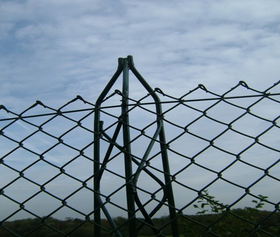 Decorative 5*5 cm pvc coated chain link fence for sale