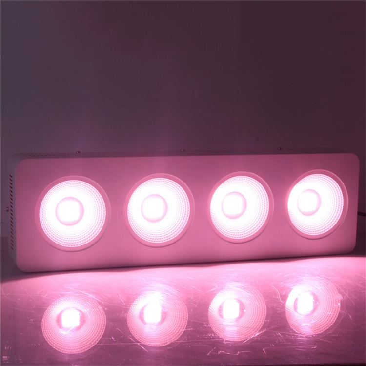 Ebay best selling Apollo 4 COB source 800w netherlands led grow light