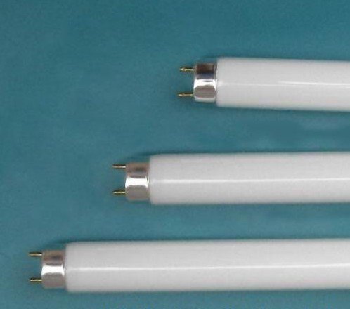 T12 Fluorescent Tube/Halophosphate Fluorescent Lamps