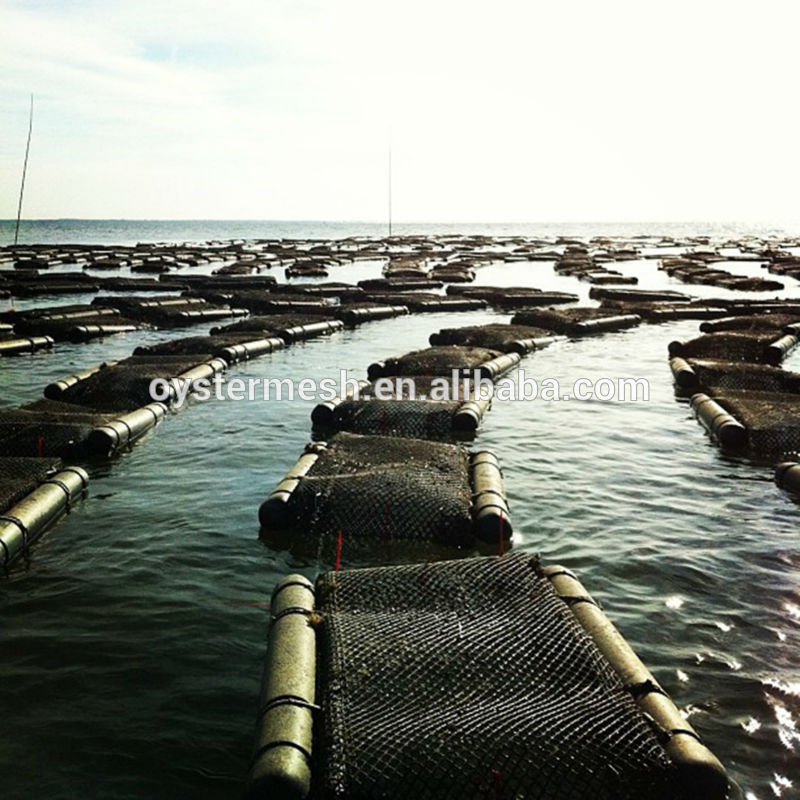 Oyster mesh,HDPE Diamond&Square Oyster Mesh