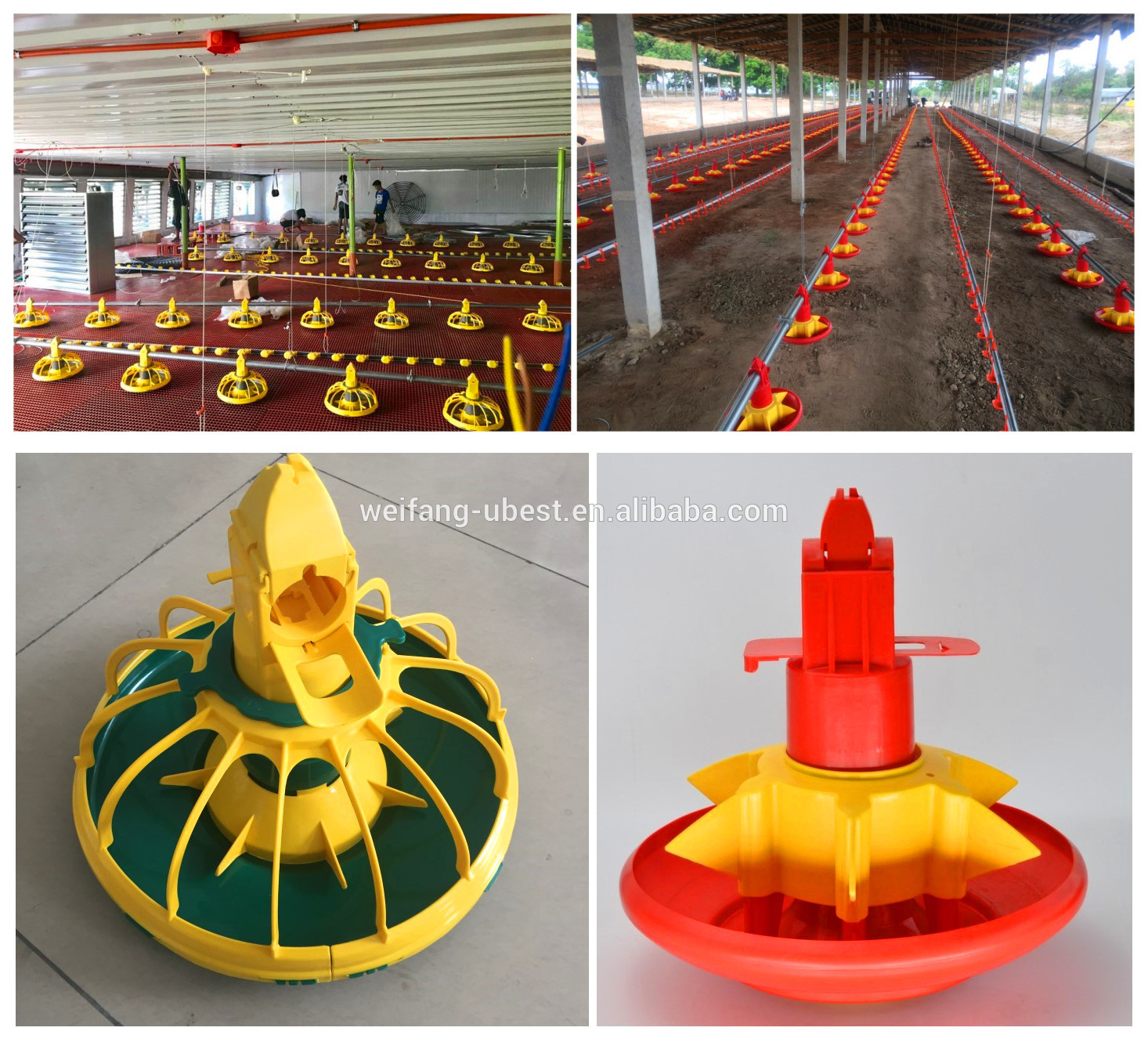 Good quality best modern house design poultry broiler house design