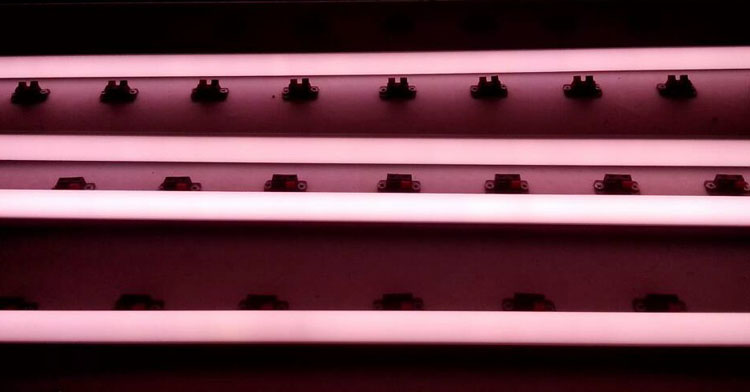 Hot sale pinkLed Tube for Meat Supermarket/led T8 pink tube light