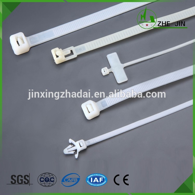 Zhe Jin Wenzhou Yueqing High Quality Nylon Self-Locking Beaded Cable Tie