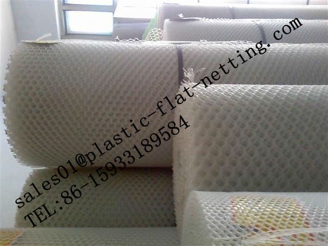 Poultry Netting ,Chicken mesh(China factory, Low price)