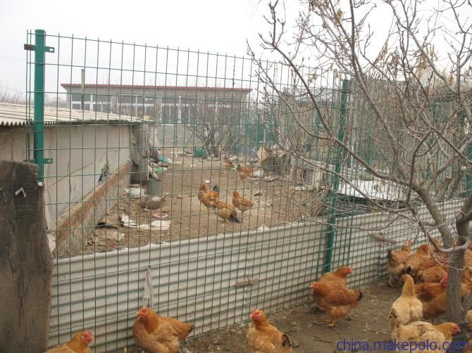 China manufacture high quality farm fence electric netting fence cattle fence used