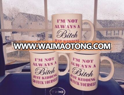 I'm not always a Bitch, Just kidding 11 oz Mug Funny Coffee Humor