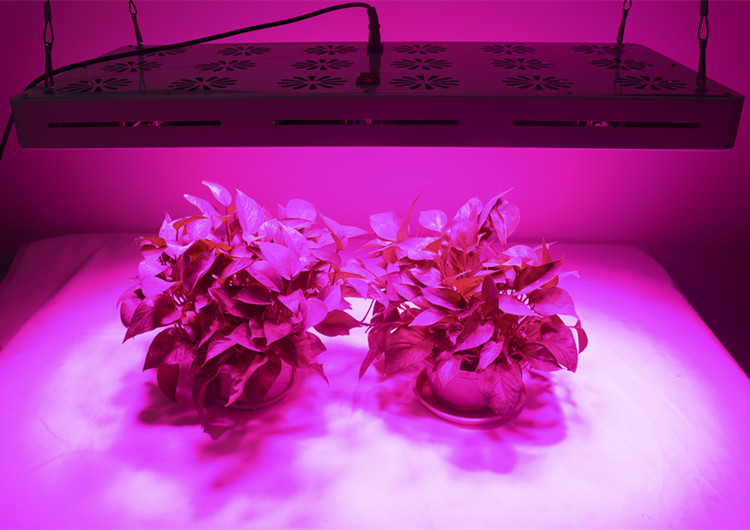 2019 new design full spectrum COB chip 2700w LED grow light