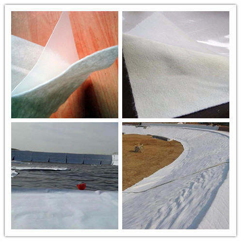 Cheap composite HDPE geomembrane price for fishing farm 650gsm