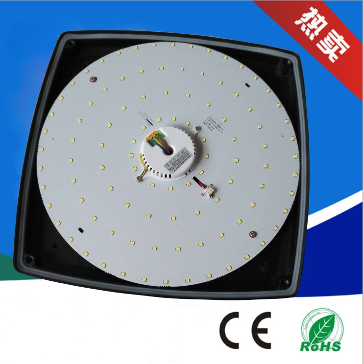 IP65 300mm LED Die casting side light out led bulk head lights ceiling lights