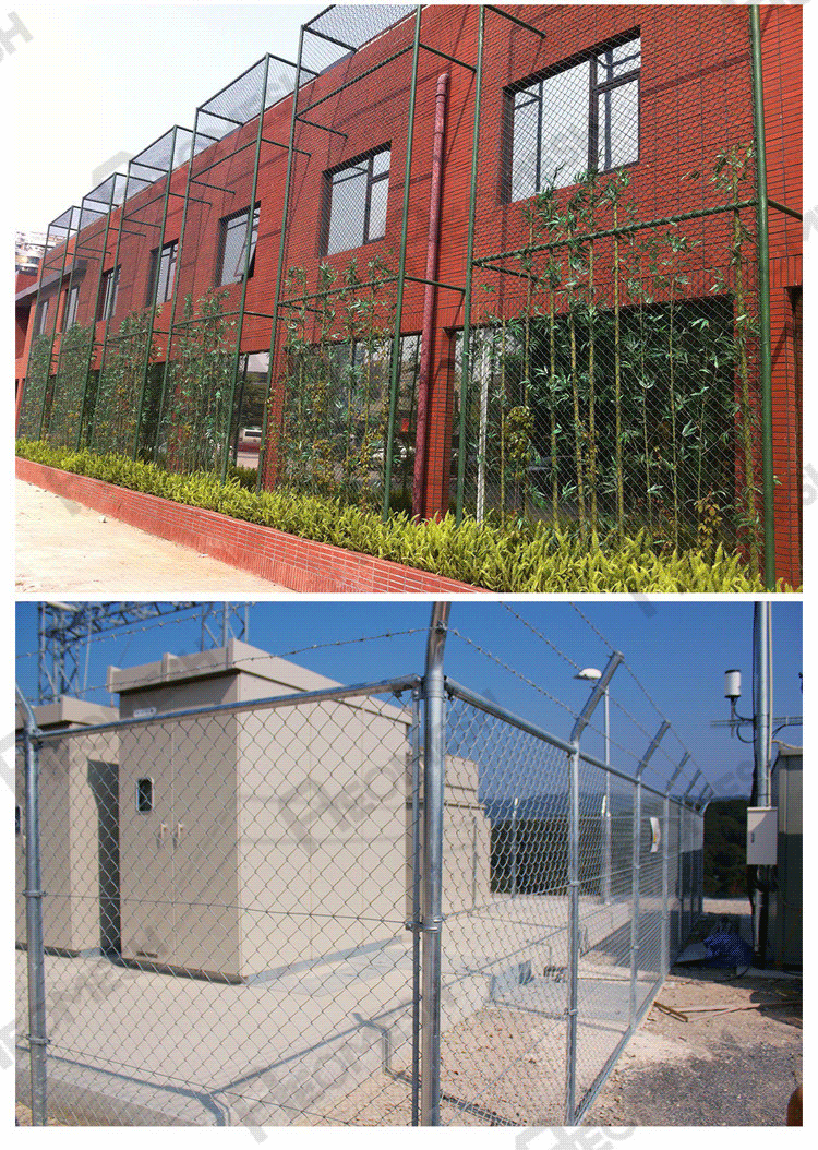 Made in Guangzhou Professional Factory Razor wire and Barbed wire V-top Chain link fence