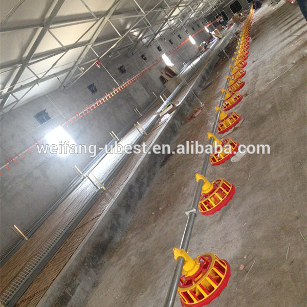 Automatic breeder chain pan feeding system for poultry equipment