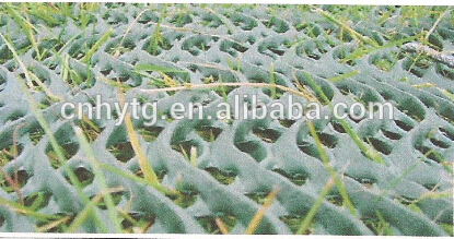 green net garden plastic fence reinforce net HDPE plastic nets of different meshes