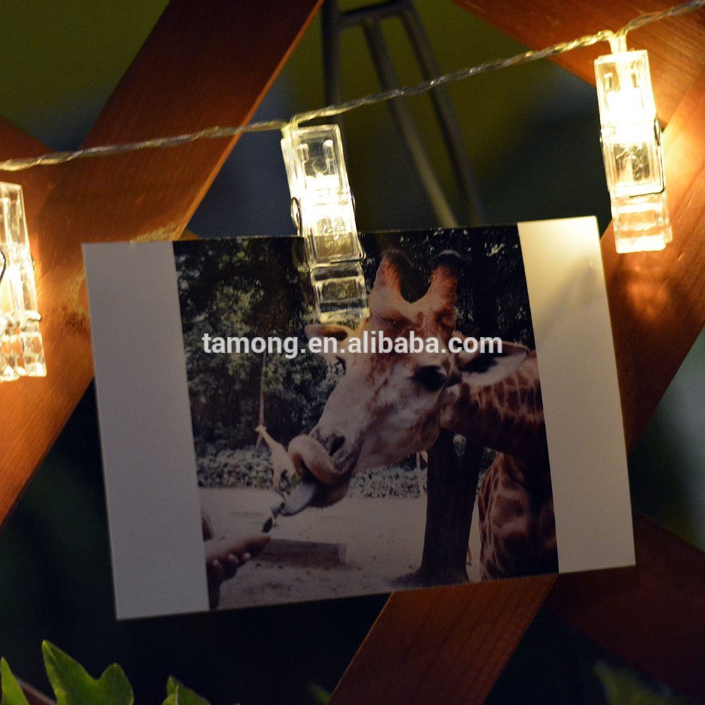 Photo Clips String Lights, Battery Powered 20 LED Starry Firefly Decorative Strand Lights, Holiday Christmas Twinkle Lighting