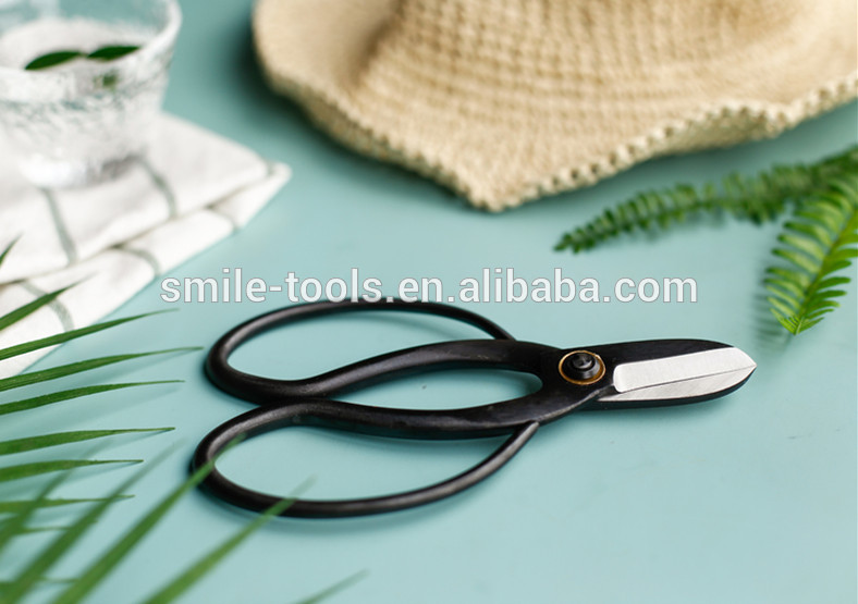 Professional Steel Blade Bonsai Shears and Bonsai Flower Scissors