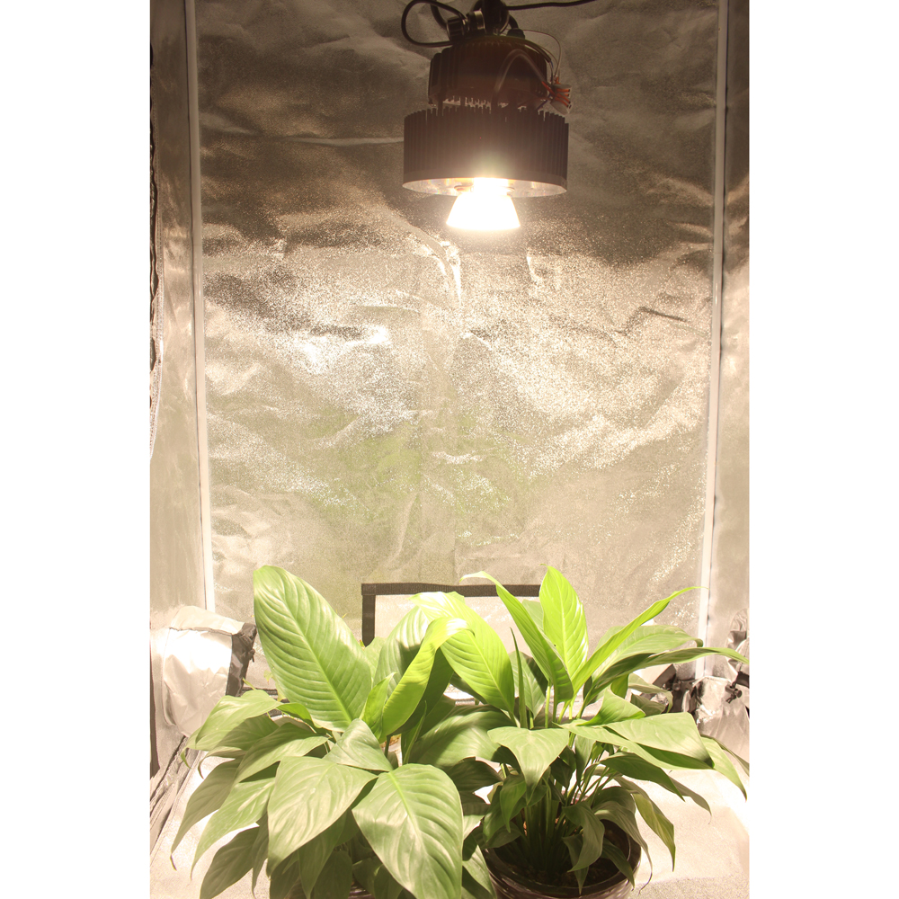 hidroponic system 100 watts cxb 3590 led grow light