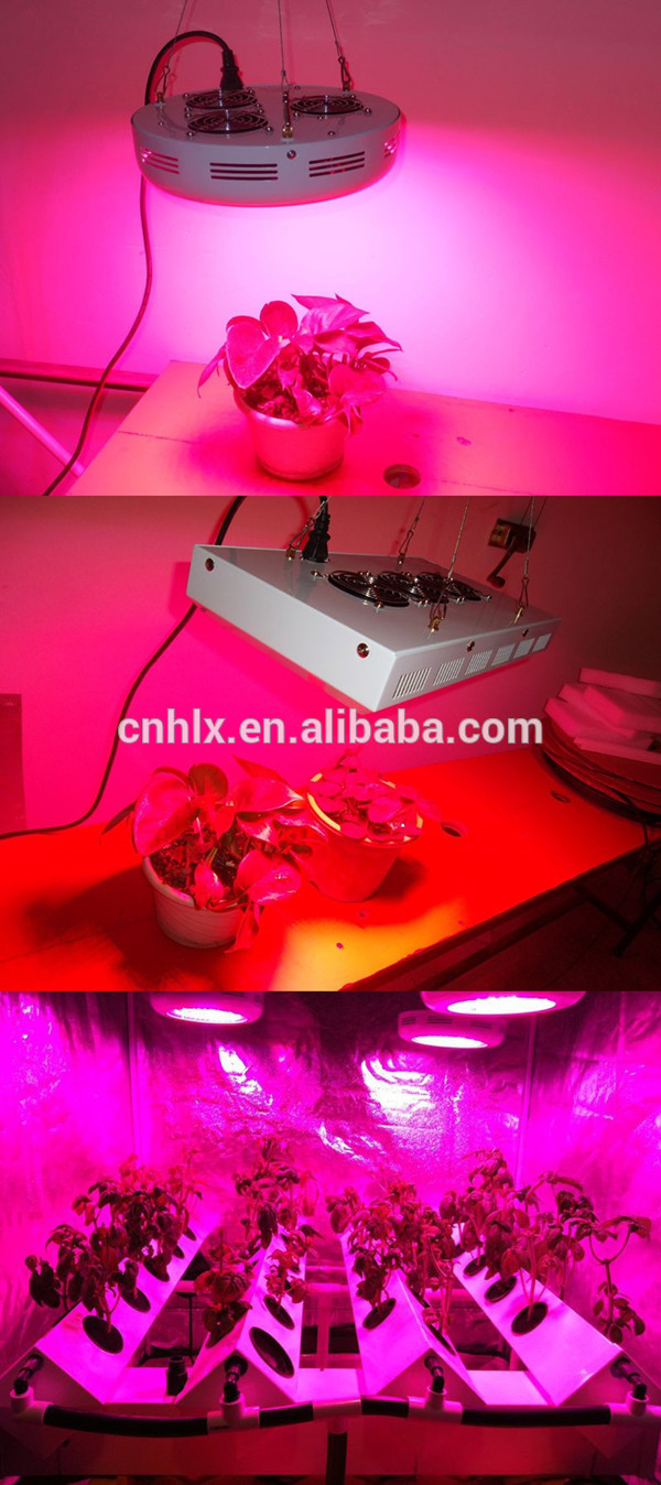 Commerical Greenhouse growing 9 wavelength bands full spectrum 600w cherry peppers E.shine Led Grow Light