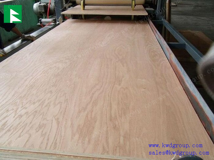 poplar plywood sheet / cheap plywood / birch plywood