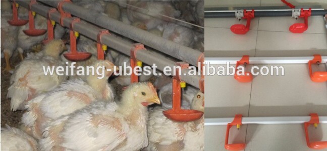 chicken poultry control shed equipment