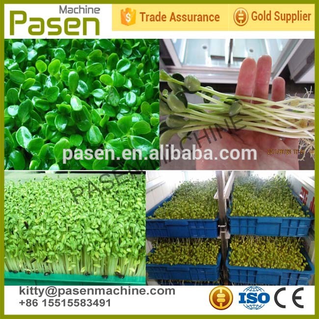 Hydroponic fodder machine for animals | Automatic mung bean sprouts making machine | Fodder sprouting machine