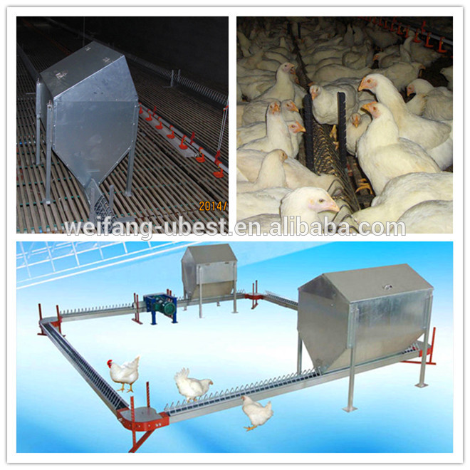 low price chicken feeders and drinkers for breeder poultry farm