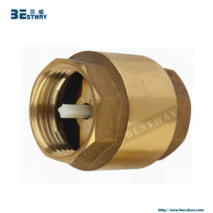 2019 new products brass clack check non return valve