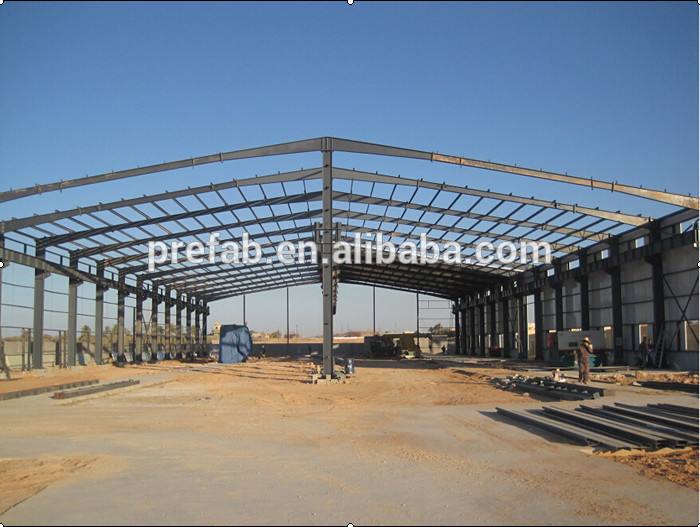 warehouse/steel structure warehouse