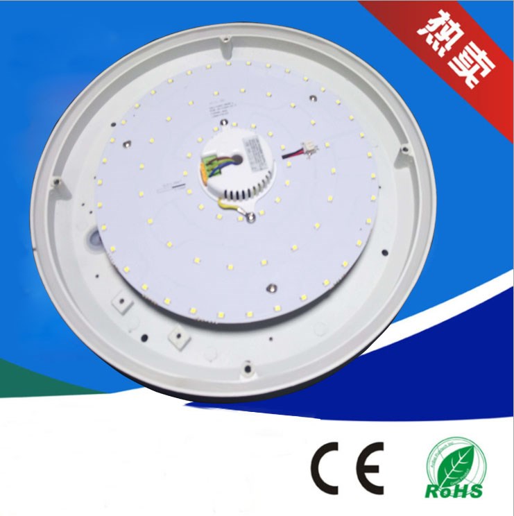 IP65 300mm LED Die casting side light out led bulk head lights ceiling lights