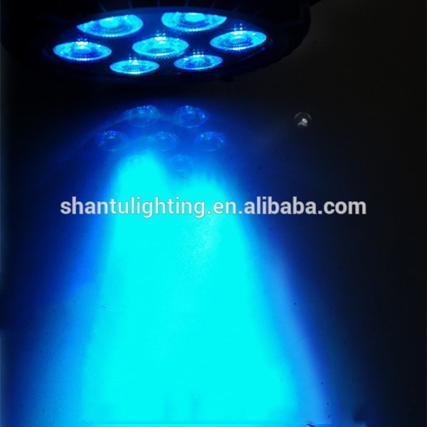 Outdoor Waterproof DJ Stage Light LED Par Light