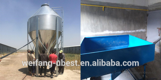 chinese supplier broiler chicken farming equipment for meat production