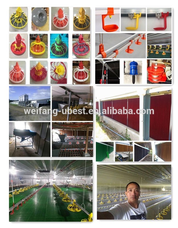 modern low price Poultry Farm chicken Buildings shed for sale