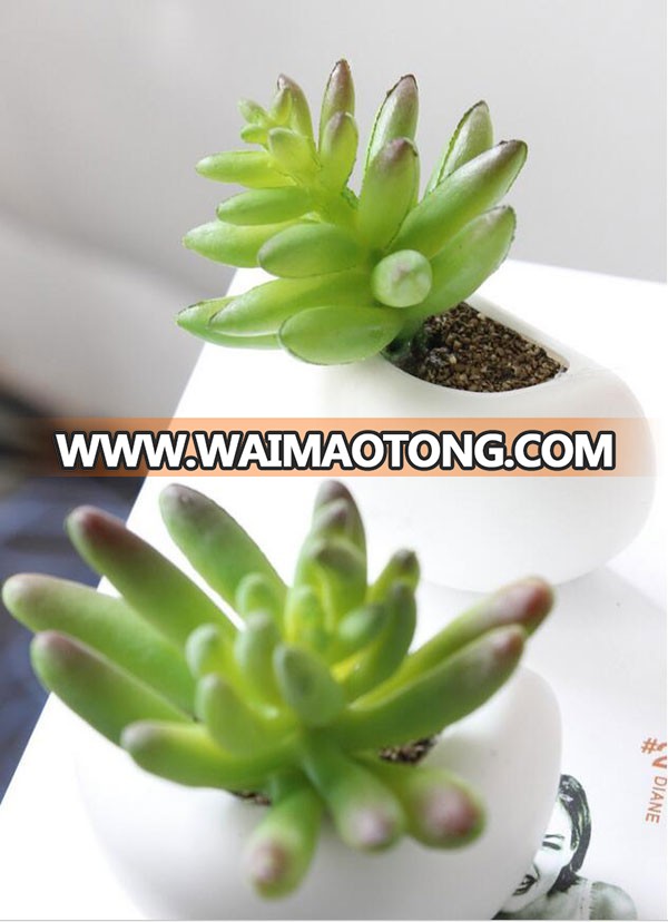 Hot sale plastic artificial succulent plant for fridge decoration