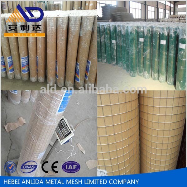 Galvanized Welded Wire Mesh / Welded Wire Mesh Fence / G.I.Welded Iron Wire Mesh 50x50 Specifications