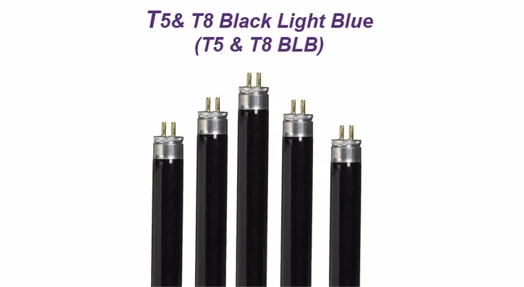 T5 4W 6W 8W black BLB lamp purple light for ballroom dance hall insert killer bulb for test