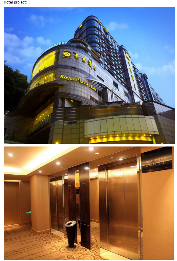 Indoor  customized design passenger elevator villa elevator for  home