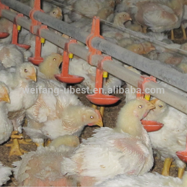 chicken house automatic nipple drinker for livestock