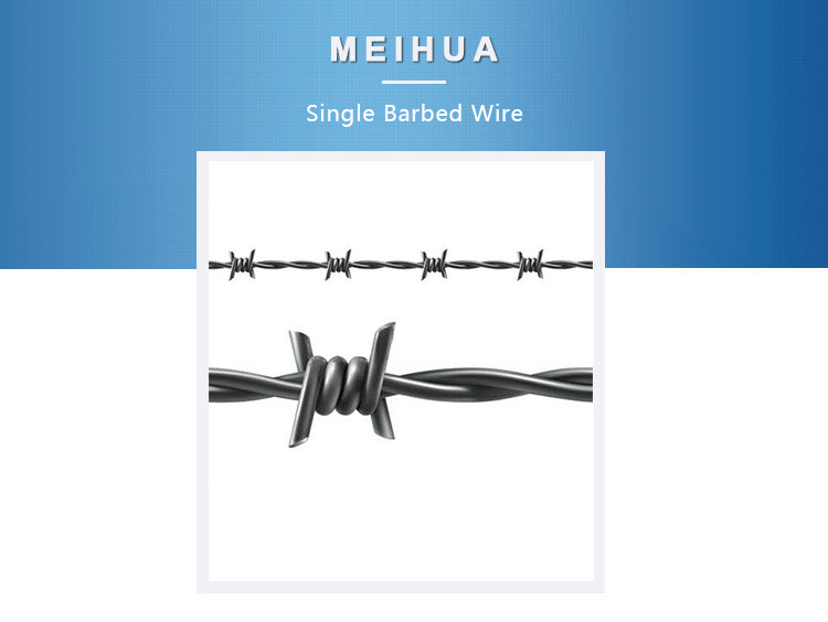 Single Barbed Wire