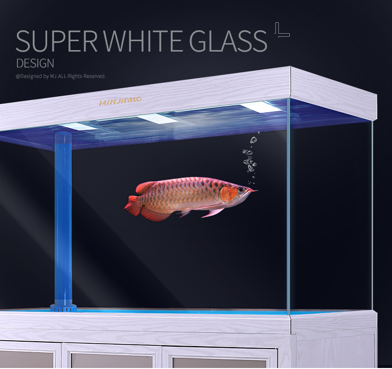 Minjiang new white arowana large aquarium glass fish farming tank