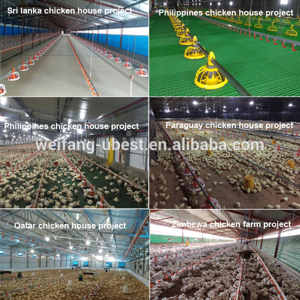 auto screw feeder Type and Chicken Use pan feeding line for broiler