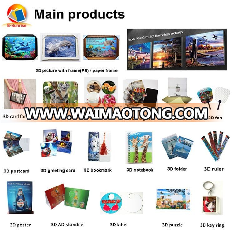 wholesale animal 3d placemat / lenticular placemat / plastic placemat for promotion