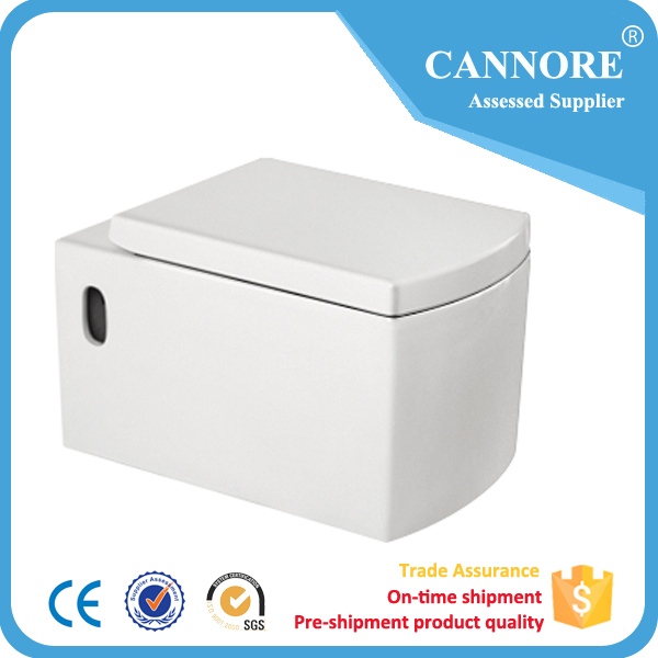 Sanitary Ware Cheap Wall Hung Toilet