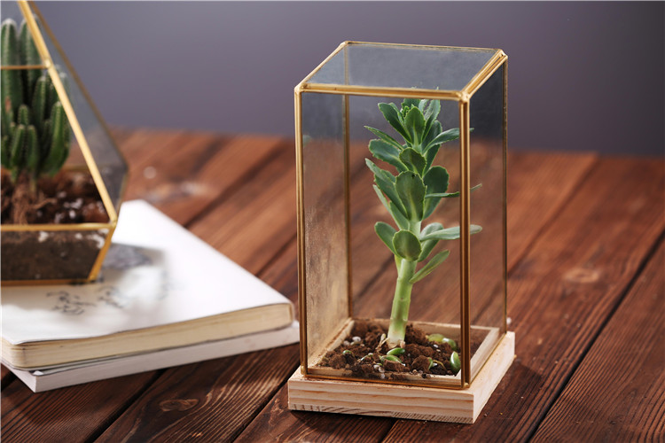 Wholesale Rectangle Shape Glass Geometric Terrarium