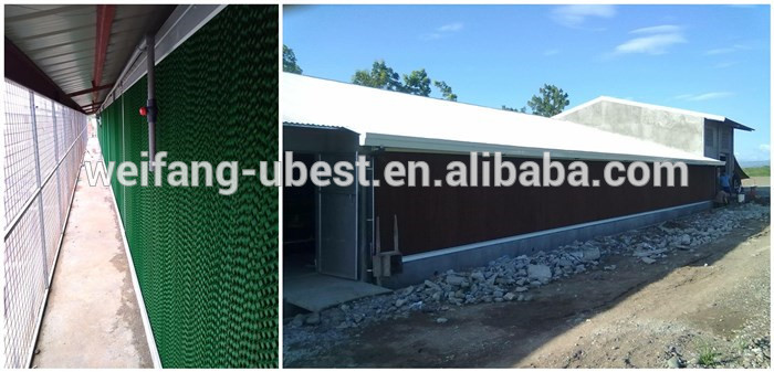 plastic slatted flooring for poultry broiler house equipment