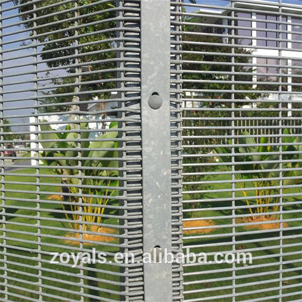 2019 Wholesale Custom Powder coated 358 security fence anti climb cat fence