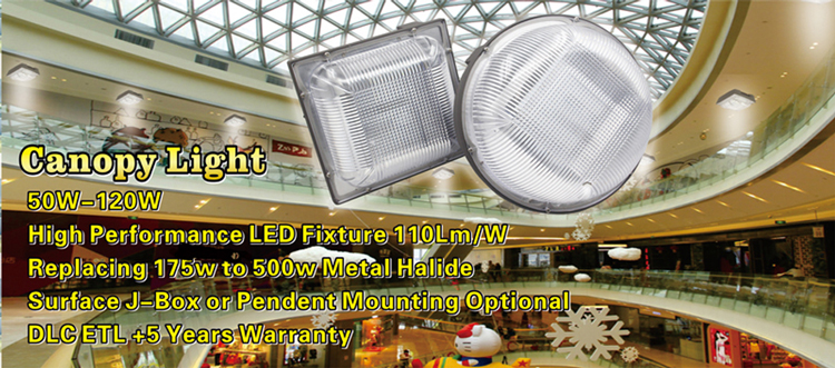 American standard 50w IP65 canopy light with 5 years warranty