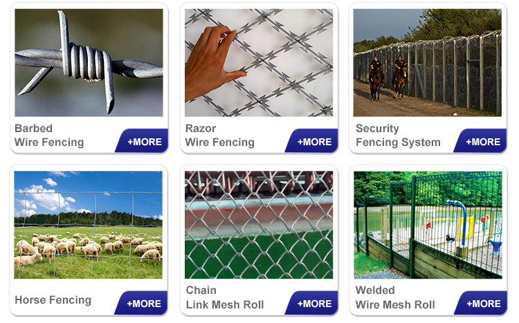 Decorative 5*5 cm pvc coated chain link fence for sale