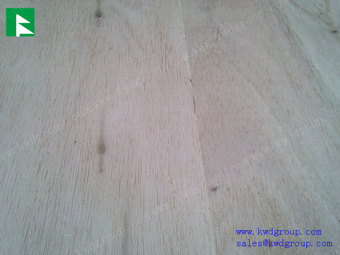 poplar plywood sheet / cheap plywood / birch plywood